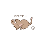 足短犬（個別スタンプ：3）