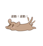 足短犬（個別スタンプ：4）