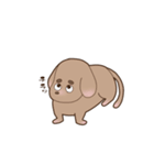 足短犬（個別スタンプ：8）