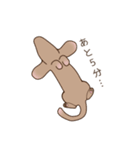 足短犬（個別スタンプ：12）