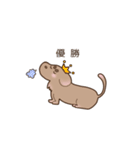 足短犬（個別スタンプ：14）