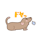 足短犬（個別スタンプ：29）