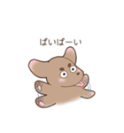足短犬（個別スタンプ：30）