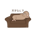 足短犬（個別スタンプ：33）