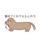 足短犬（個別スタンプ：34）