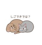 足短犬（個別スタンプ：40）