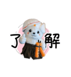 さのまるの動くスタンプ第4弾 もふもふ編（個別スタンプ：1）