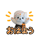 さのまるの動くスタンプ第4弾 もふもふ編（個別スタンプ：9）