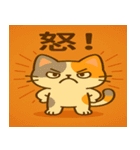 小発ニャン  秋のほっこり（個別スタンプ：14）