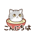 エキゾチック★シルバー【食事】（個別スタンプ：2）