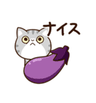エキゾチック★シルバー【食事】（個別スタンプ：19）