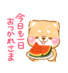 夏から秋❤️いやしばいぬ❤️柴犬/暑中/敬語（個別スタンプ：12）