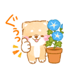 夏から秋❤️いやしばいぬ❤️柴犬/暑中/敬語（個別スタンプ：15）