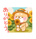 夏から秋❤️いやしばいぬ❤️柴犬/暑中/敬語（個別スタンプ：17）