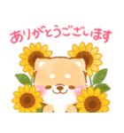 夏から秋❤️いやしばいぬ❤️柴犬/暑中/敬語（個別スタンプ：18）