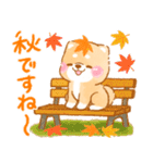夏から秋❤️いやしばいぬ❤️柴犬/暑中/敬語（個別スタンプ：31）