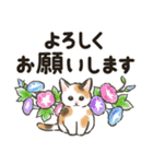 夏の毎日☆猫たちのスタンプ2（個別スタンプ：2）