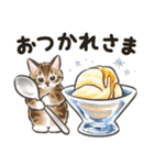夏の毎日☆猫たちのスタンプ2（個別スタンプ：3）