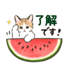 夏の毎日☆猫たちのスタンプ2（個別スタンプ：7）