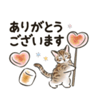 夏の毎日☆猫たちのスタンプ2（個別スタンプ：10）