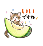 夏の毎日☆猫たちのスタンプ2（個別スタンプ：11）