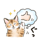 夏の毎日☆猫たちのスタンプ2（個別スタンプ：12）