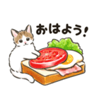 夏の毎日☆猫たちのスタンプ2（個別スタンプ：13）
