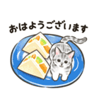 夏の毎日☆猫たちのスタンプ2（個別スタンプ：15）