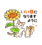 夏の毎日☆猫たちのスタンプ2（個別スタンプ：16）