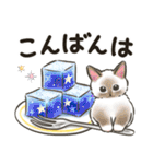 夏の毎日☆猫たちのスタンプ2（個別スタンプ：18）
