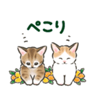 夏の毎日☆猫たちのスタンプ2（個別スタンプ：19）