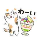 夏の毎日☆猫たちのスタンプ2（個別スタンプ：20）