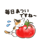 夏の毎日☆猫たちのスタンプ2（個別スタンプ：21）