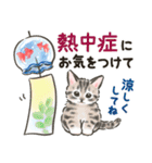 夏の毎日☆猫たちのスタンプ2（個別スタンプ：23）