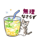 夏の毎日☆猫たちのスタンプ2（個別スタンプ：24）