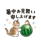 夏の毎日☆猫たちのスタンプ2（個別スタンプ：25）