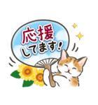 夏の毎日☆猫たちのスタンプ2（個別スタンプ：26）