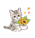 夏の毎日☆猫たちのスタンプ2（個別スタンプ：27）