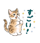 夏の毎日☆猫たちのスタンプ2（個別スタンプ：28）