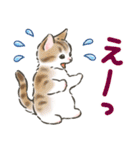夏の毎日☆猫たちのスタンプ2（個別スタンプ：30）