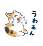 夏の毎日☆猫たちのスタンプ2（個別スタンプ：31）