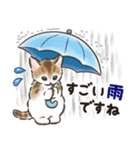 夏の毎日☆猫たちのスタンプ2（個別スタンプ：33）