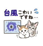 夏の毎日☆猫たちのスタンプ2（個別スタンプ：35）