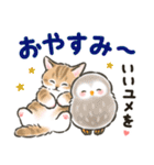 夏の毎日☆猫たちのスタンプ2（個別スタンプ：36）