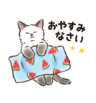 夏の毎日☆猫たちのスタンプ2（個別スタンプ：37）
