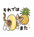 夏の毎日☆猫たちのスタンプ2（個別スタンプ：40）