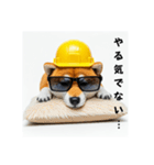 ぐでだる柴犬の現場仕事⭐(再販)（個別スタンプ：1）
