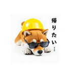 ぐでだる柴犬の現場仕事⭐(再販)（個別スタンプ：4）