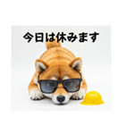 ぐでだる柴犬の現場仕事⭐(再販)（個別スタンプ：9）