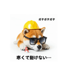 ぐでだる柴犬の現場仕事⭐(再販)（個別スタンプ：16）